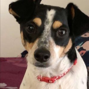 Meet your Posher, Berenice